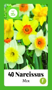 320.600 Label - 40 Narcissus Mix4